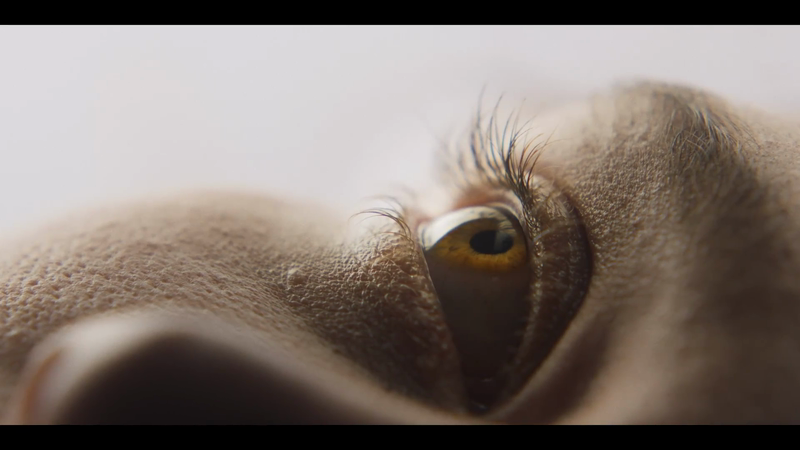 "Eyelash" Trailer