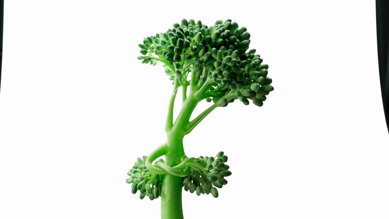 Tenderstem Broccoli - Paparazzi Plate