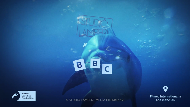 A still from the BBC's Celebrity Race Across the World Deep Credits takeover